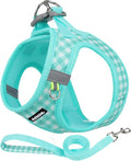 AIITLE Step in Small Dog Harness and Leash Set, Pet Vest, Turquoise S | Breathable Mesh, Adjustable Fit, No-Pull Reflective Design, Escape Proof, for Small-Medium Dogs, Outdoor Walking, Running by AIITLE-FORPETSBETTERLIFE