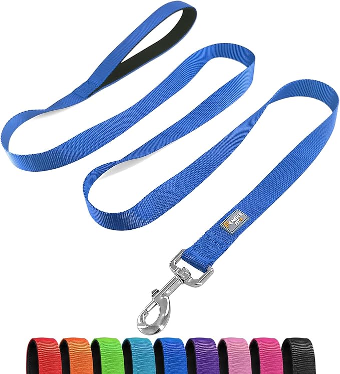 6 FT Reflective Dog Leash for Medium Dogs,Blue | Padded Handle,Metal D-Ring,Heavy Duty Nylon Webbing, for Walking & Training by Penseepet