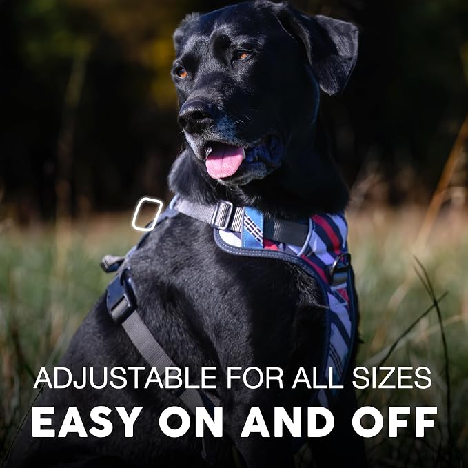 Embark No Pull Dog Harness, Reflective Adjustable Training Vest, No Choke | Adjustable straps fit all dog breeds with sturdy hooks; 360° reflective trim, soft padded Harness Design for All Dogs - Image 4