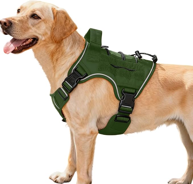 Heavy-Duty Tactical Dog Harness for Large Dogs, No Pull Adjustable Reflective Pet Vest with Molle System, K9 Military-Grade Control for Service Training, Outdoor & 10+ Breeds, Green, Medium by Bruvoalon