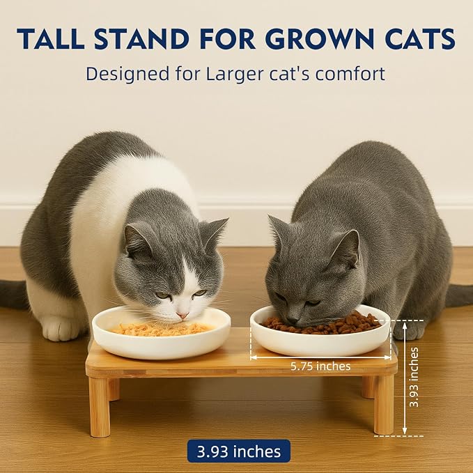 DoogCat Raised Cat Bowls, Bamboo Stand with 2 Ceramic Bowls | Adjustable Height, Whisker-Friendly Design, Food & Water Set, Stable Construction, Easy to Clean - Image 2