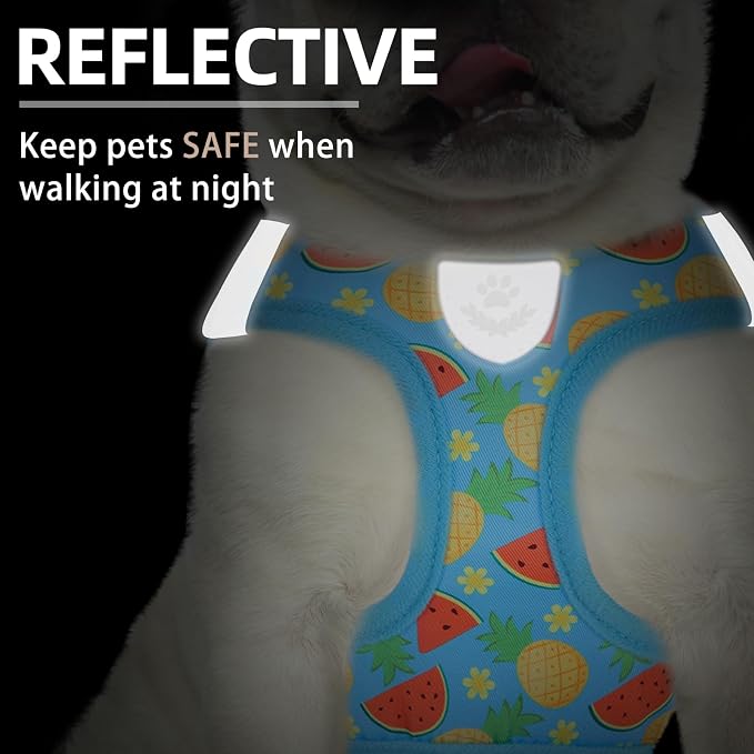 PUPTECK Dog Harness, Collar and Leash Set No Pull for Small Medium Sized | Cute Puppy Step-in Escape Proof Reflective No Choke Pet Cat Adjustable Walking Vest - Image 5
