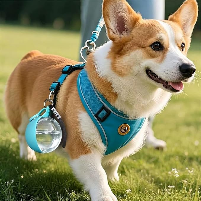 2 in 1 Portable Tumbler for Dogs,10Oz Stainless Portable Dog Water Ball - Image 2