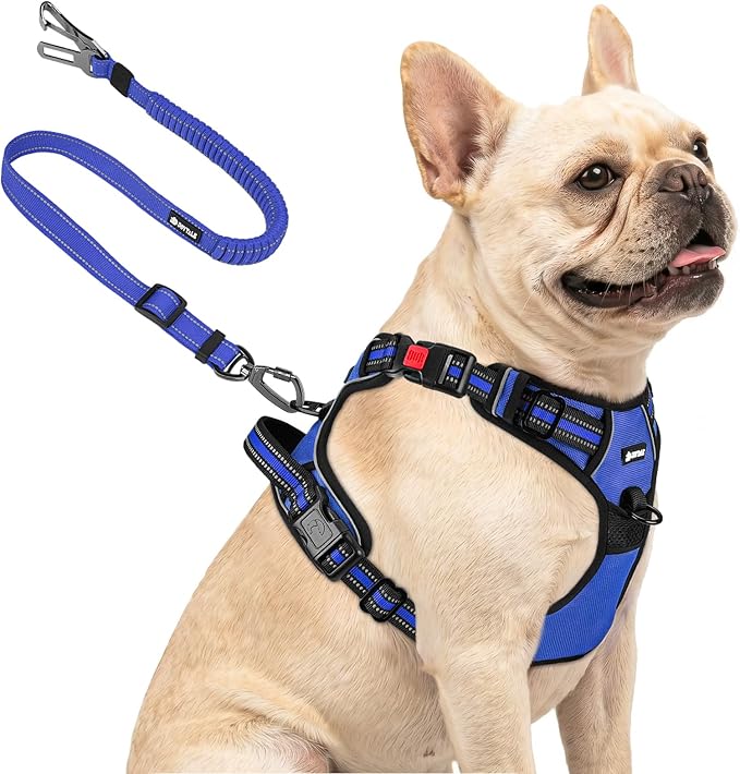 Joytale No Pull Dog Harness & Seat Belt, Easy On 3-Buckle, S, Navy Blue | Front Clip Reduces Pulling, Escape-Resistant Design, Adjustable Fit, Soft Padding for Comfort, Secure Tether for Safer Travel by Joytale