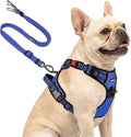 Joytale No Pull Dog Harness & Seat Belt, Easy On 3-Buckle, S, Navy Blue | Front Clip Reduces Pulling, Escape-Resistant Design, Adjustable Fit, Soft Padding for Comfort, Secure Tether for Safer Travel by Joytale