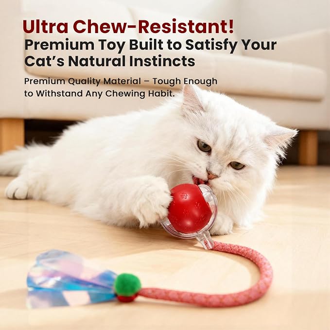 Rocfish Durable Interactive Cat Toys for Indoor Cats (red, 03) | Smart Automatic Cat Chase Ball Toy, Upgraded Speedy Tail Kitten Toy for Bored Indoor Adult Pets - Image 5