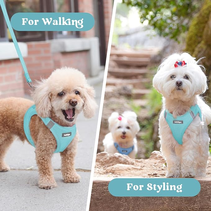rabbitgoo Step-in Small Dog Harness, Puppy Vest for Medium Sized Pet | Easy Put on and off, Lightweight, Soft, Breathable Quick-Dry Air Mesh for Comfortable Secure Walking, Mint Blue XXL - Image 9