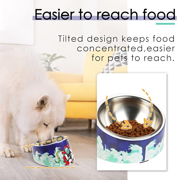 Super Design Mess Free 15° Slanted Bowl for Dogs and Cats, Tilted Angle Bulldog Bowl Pet Feeder, Non-Skid & Non-Spill, Easier to Reach Food - Image 2