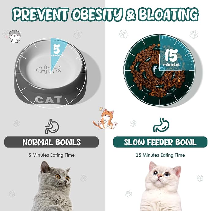 Tioncy 1 Pcs Ceramic Elevated Slow Feeder Cat Bowl, Raised Cat Slow Feeder Bowl, Anti Vomiting for Dry and Wet Food, No Spill High Edge Easy Clean Dishwasher Safe (Dark Green) - Image 3