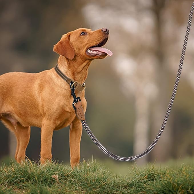 Mile High Life Dog Leash with Genuine Leather-Wrapped Ends, 4/5/6FT | Tangle-Free 360° Swivel Clasp Heavy Duty Rope Leash | Small Medium Large Dogs | Daily Walking (Brown, 48 Inch, 1/2") - Image 2