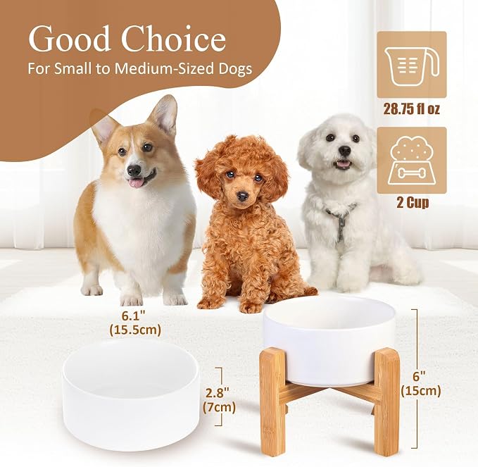 Ceramic Elevated Dog Bowl with Bamboo Stand, for Small & Medium Dog, White - Image 3