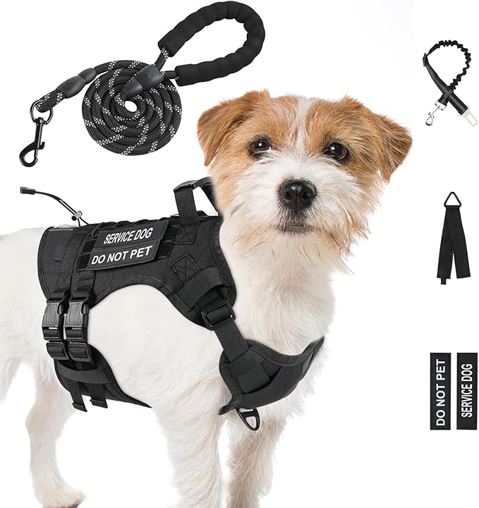 No Pull Tactical Dog Harness Small Sized Dog, Service Dog Vest, S, Black | Tactical Dog Vest Harness and Leash Set, Adjustable Military Service Dog Harness with Handle for Medium Large Dogs by Yungaspy
