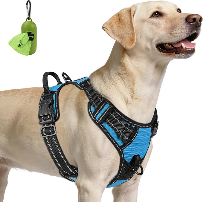 Joytale No Pull Dog Harness for Large Dogs, Front Clip, Sky Blue | Grab Handle for Instant Control, Padded & Adjustable Vest, Sturdy Metal D-Rings, for Safe Training & Daily Walking by Joytale