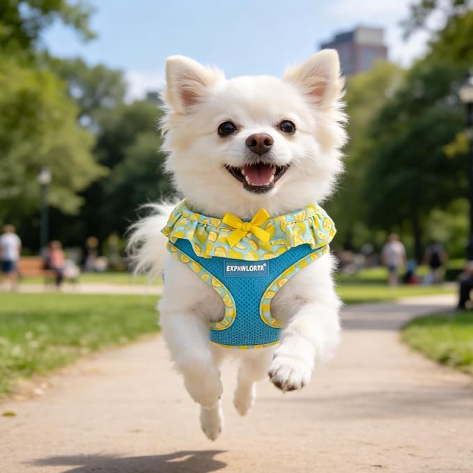 EXPAWLORER Step-in Dog Harness Small Sized and Leash Set | Cute Small Dog Harness No Pull Girl, Breathable Soft Mesh Padded, Adjustable Light Puppy Vest for Dogs Cats, Lemon XS - Image 9