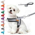BEAUTYZOO Small Dog Harness and Leash Set, No Pull Step in Puppy Vest | Breathable Mesh with Handle, Reflective, Adjustable No Choke Escape Proof, Lightweight, Easy Control for Walking, Grey S by BEAUTYZOO