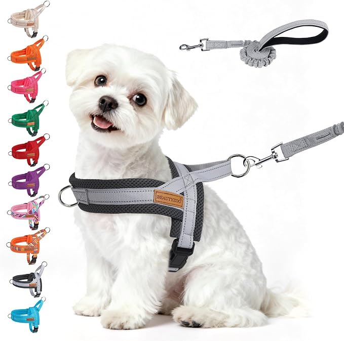 BEAUTYZOO Small Dog Harness and Leash Set, No Pull Step in Puppy Vest | Breathable Mesh with Handle, Reflective, Adjustable No Choke Escape Proof, Lightweight, Easy Control for Walking, Grey S by BEAUTYZOO