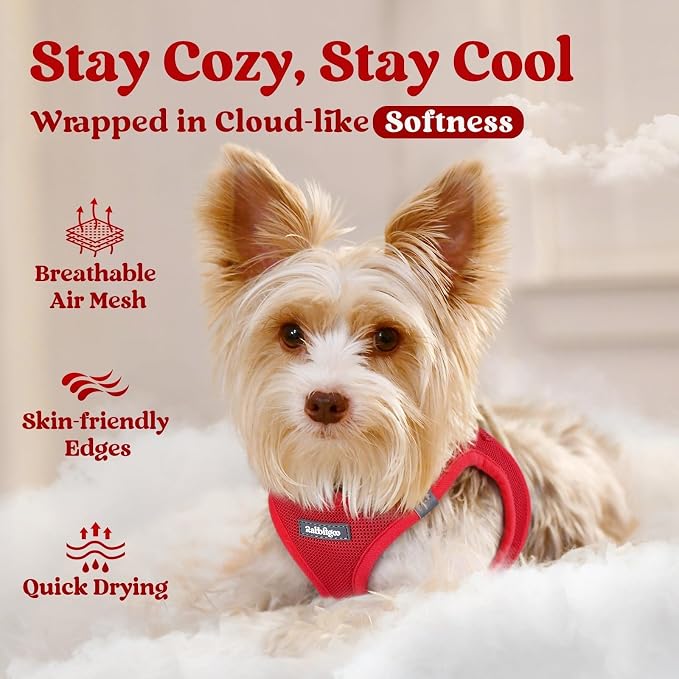 rabbitgoo Step-in Small Dog Harness, Puppy Vest for Small Sized Pet | Easy Put on and off, Lightweight, Soft, Breathable Quick-Dry Air Mesh for Comfortable Secure Walking, Red XXS - Image 2