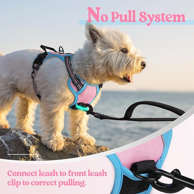 rabbitgoo Dog Harness, No Pull for Small Dogs with 2 Leash Clips, Pet Vest | No Choke with Handle, Adjustable Soft Padded, Reflective, Easy Control for Walking, Pink & Blue, X-Small - Image 5