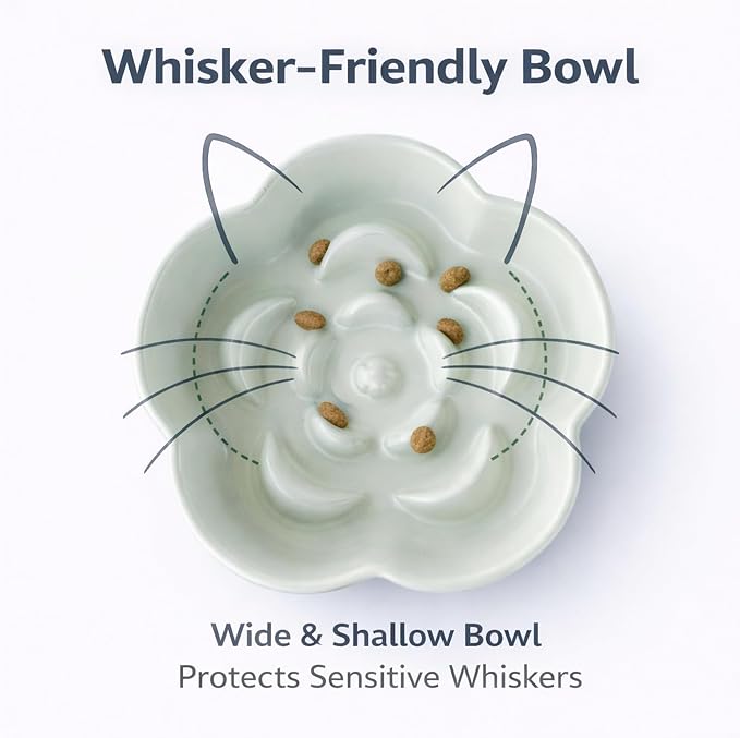 Ceramic Elevated Slow Feeder Cat Bowl, Raised and Gently Tilted Feeding Dish with Maze Design, Whisker-Friendly, Easy to Clean, for Indoor Cats and Small Dogs (Green/Ivory) - Image 5