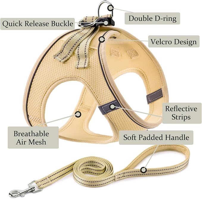 Dog Harness with Leash Set, Step-in Adjustable Puppy Pet Vest, Beige XL | Lightweight Breathable Air Mesh, Night Safety Reflective, No Pull Puppy Vest Harnesses for Small Medium Large Dogs, Cats - Image 2