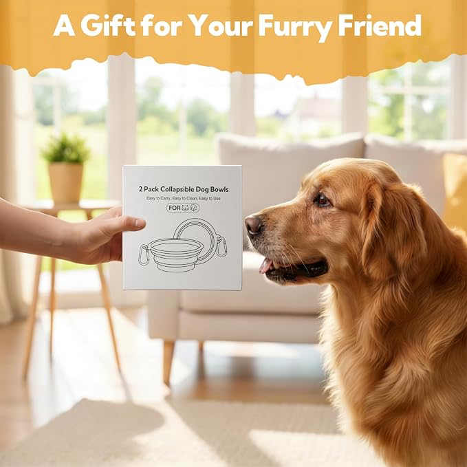 Collapsible Dog Bowl Large 34oz, Travel Dog Water Bowl Portable | 2 Pack, 2 Carabiner Clips, Silicone Travel Dog Bowl Foldable, Feeding Watering Dish Bowl, for Parking, Walking, Camping - Image 4