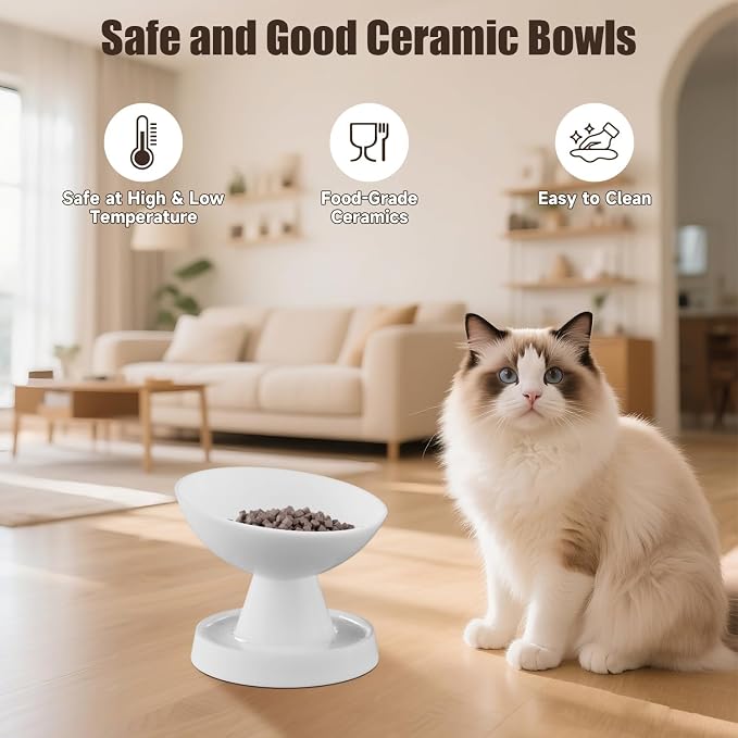 Raised Cat Food Bowl, Ceramic 15° Tilted Cat Bowl(White) | Ant-Proof Design, for Whisker & Neck Fatigue, Protect Pet's Spine, Titled Anti-Vomiting Cat Dish, All Life Stage - Image 6