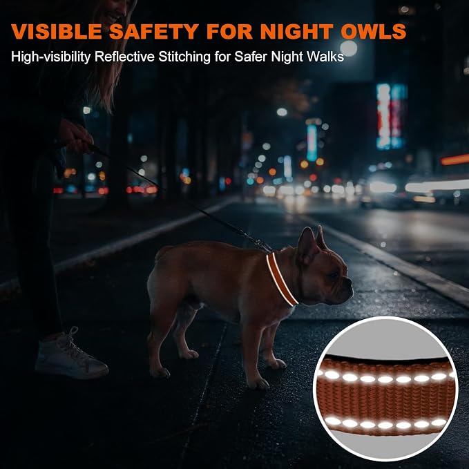 Taglory Reflective Small Dog Collar, Comfortable for Safe Night Walk,Orange | Night-Walk Visibility, Soft Neck Cushioning, Adjustable 10-16 in, Locking Buckle, D-Ring for Leash and ID Tags - Image 5