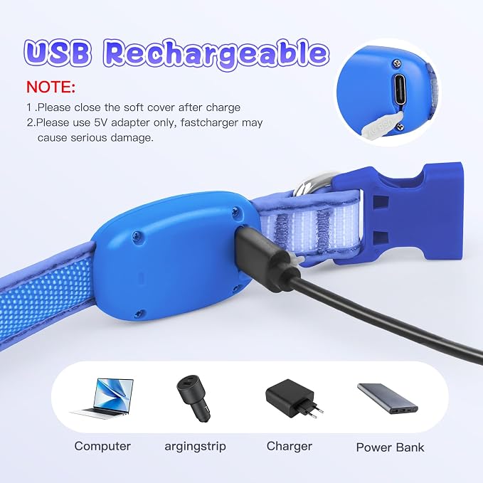 LED Light Up Dog Collar for Night Safety Walks, Blue, S | USB rechargeable, waterproof & pet-safe, 3 lighting modes, long-lasting glow, adjustable S/M/L, soft comfy daily walk fit - Image 7