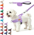 BEAUTYZOO Small Dog Harness and Leash Set, No Pull Step in Puppy Vest | Breathable Mesh with Handle, Reflective, Adjustable No Choke Escape Proof, Lightweight, Easy Control for Walking, Purple S by BEAUTYZOO