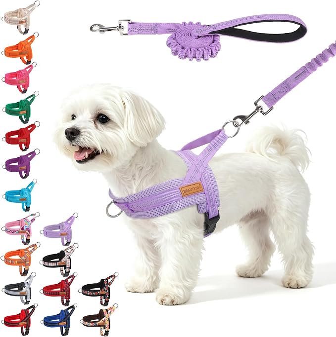 BEAUTYZOO Small Dog Harness and Leash Set, No Pull Step in Puppy Vest | Breathable Mesh with Handle, Reflective, Adjustable No Choke Escape Proof, Lightweight, Easy Control for Walking, Purple S by BEAUTYZOO