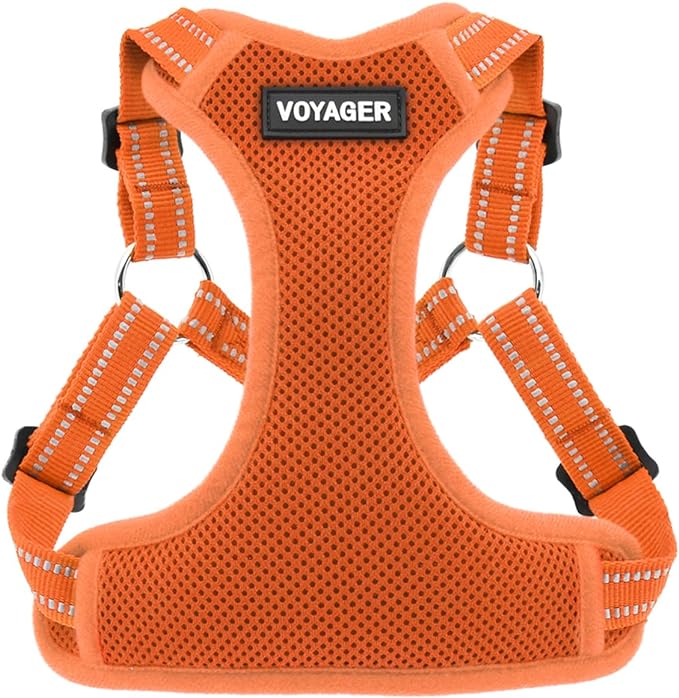 Voyager Step-in Flex Adjustable Dog Harness - Orange, Large | 20 - 25" in Chest, Fully Adjustable, Reflective Bands, All Weather Breathable Air Mesh, Lightweight, Fast Drying by BestPetSuppliesLLC
