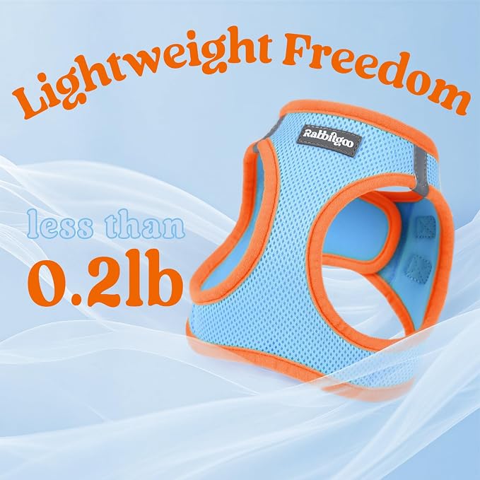 rabbitgoo Dog Harness Small Sized and Leash Set, Step in Soft Vest | Breathable Mesh, Easy Wear with Hook & Loop, Light and Reflective for Walking, Multi-colored, Blue & Orange, XS - Image 7