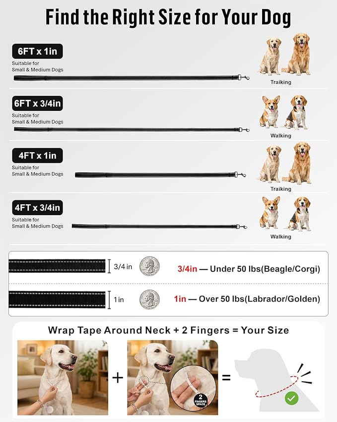 FunTags Reflective Nylon Dog Leash for Small & Medium Dogs, 4FT Training | Comfortable Padded Grip, Stay Safe at Night, 360° Anti-Tangle Swivel, for Dog Parks & Trails, Black - Image 7
