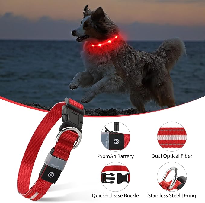 MASBRILL Led Dog Collar, Rechargeable Light Up Collar with Flashing Glow for Night Safety - Image 4