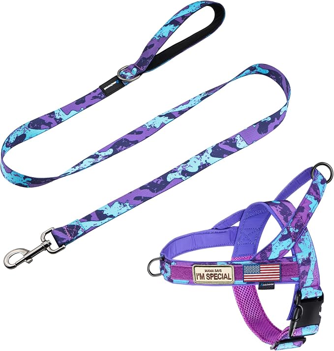 Annchwool No Pull Dog Harness with Padded Handle+5 Ft Leash,Escape Proof and Quick Fit to Adjust Dog Harness,Easy for Training Walking for Small & Medium and Large Dogs(Camo Purple Set,XL) by Annchwool