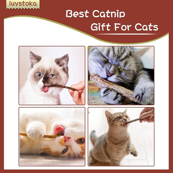 Silvervine Sticks for Cats 10PCS, Silvervine & Matatabi Catnip Toys, Indoor Kitty Chew Sticks & Wand Toys for Bored Cats - Image 5