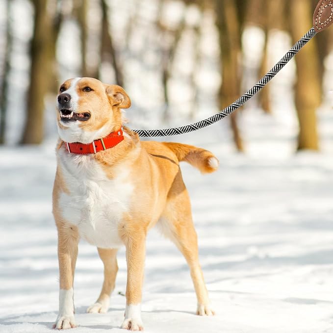Mile High Life Dog Leash with Genuine Leather-Wrapped Ends, 4/5/6FT | Tangle-Free 360° Swivel Clasp Heavy Duty Rope Leash | Small Medium Large Dogs | Daily Walking (White Beige, 72 Inch, 1/2") - Image 3
