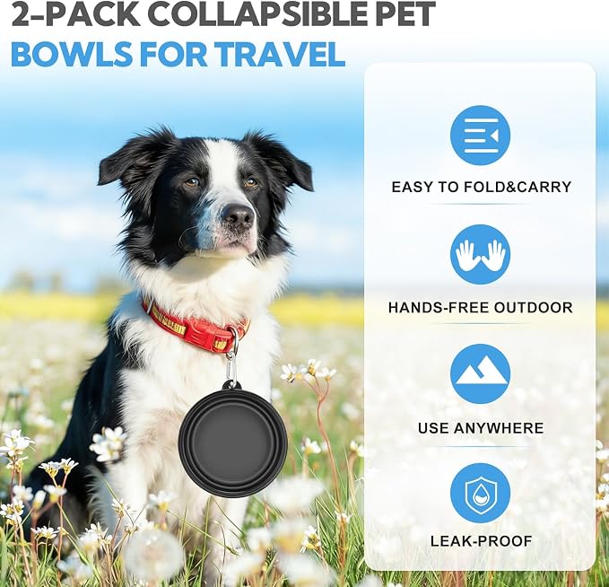 Collapsible Dog Bowl Large 34oz, Travel Dog Water Bowl Portable | 2 Pack, 2 Carabiner Clips, Silicone Travel Dog Bowl Foldable, Feeding Watering Dish Bowl, for Parking, Walking, Camping - Image 6