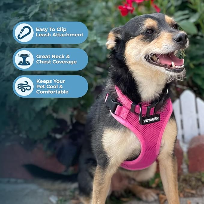 Voyager Step-in Lock Dog Harness - Fuchsia, Medium | 17-21" in Chest, Adjustable, Breathable Air Mesh, Lightweight for Daily Walks, Strong Clips, Heavy Duty D-Ring - Image 3
