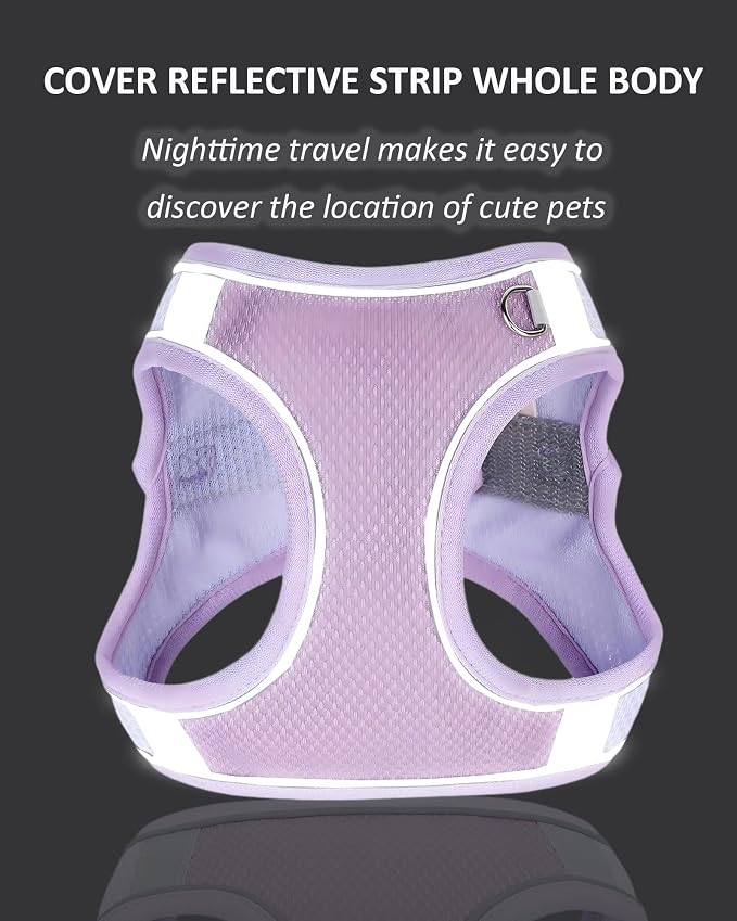 Solmoony Dog Harness for Small Medium Dogs No Pull, Puppy Harness and Leash Set, Puppy Harness for Small Dogs, Step in Harness for Small Dogs, Small Dog Harness, mesh Dog Harness. (Purple, S) - Image 4