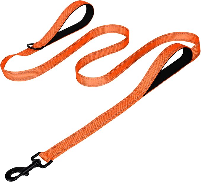 Joytale Dog Leash for Large Dogs that Pull, Double Handle, 5FT, Orange | Traffic Handle for Control, Padded Handle Reduces Hand Strain, Reflective Stitching for Night Safety, Strong Nylon Webbing by Joytale