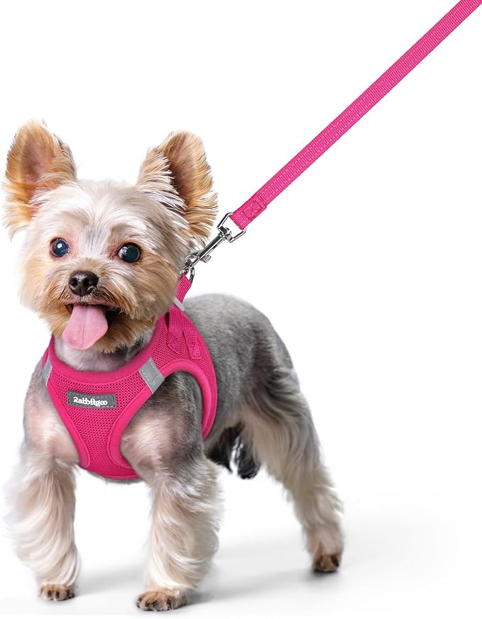 rabbitgoo Dog Harness Small Sized and Leash Set, Step-in Puppy Pet Vest | Light, Soft, Breathable Air Mesh, Easy on and Remove with Hook & Loop, Secure Reflective for Walking, Rose Red XS by rabbitgoo