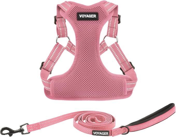 Best Pet Supplies Voyager Adjustable Step-in Flex Breathable Mesh Dog Harness for Small Medium Large Dogs Leash Set (Pink), S by BestPetSuppliesLLC