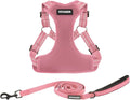 Best Pet Supplies Voyager Adjustable Step-in Flex Breathable Mesh Dog Harness for Small Medium Large Dogs Leash Set (Pink), S by BestPetSuppliesLLC