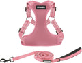 Best Pet Supplies Voyager Adjustable Step-in Flex Breathable Mesh Dog Harness for Small Medium Large Dogs Leash Set (Pink), L by BestPetSuppliesLLC