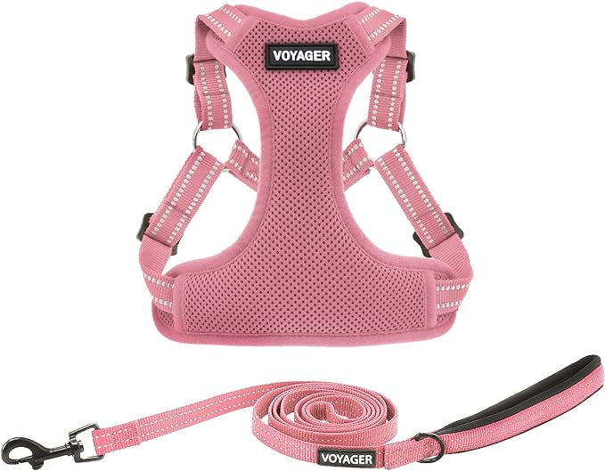 Best Pet Supplies Voyager Adjustable Step-in Flex Breathable Mesh Dog Harness for Small Medium Large Dogs Leash Set (Pink), L by BestPetSuppliesLLC