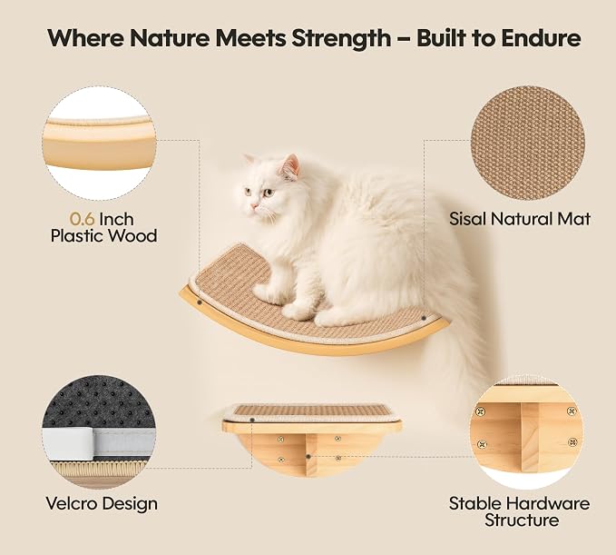 Cat Wall Shelves, Cat Window Perches with Curved Bed & 2 Sisal Mat Steps | Cat Window Perches with Beige Curved Bed & 2 Floating Steps for All Breeds, 3-in-1 Cat Wall Set for Climbing & Lounging - Image 2