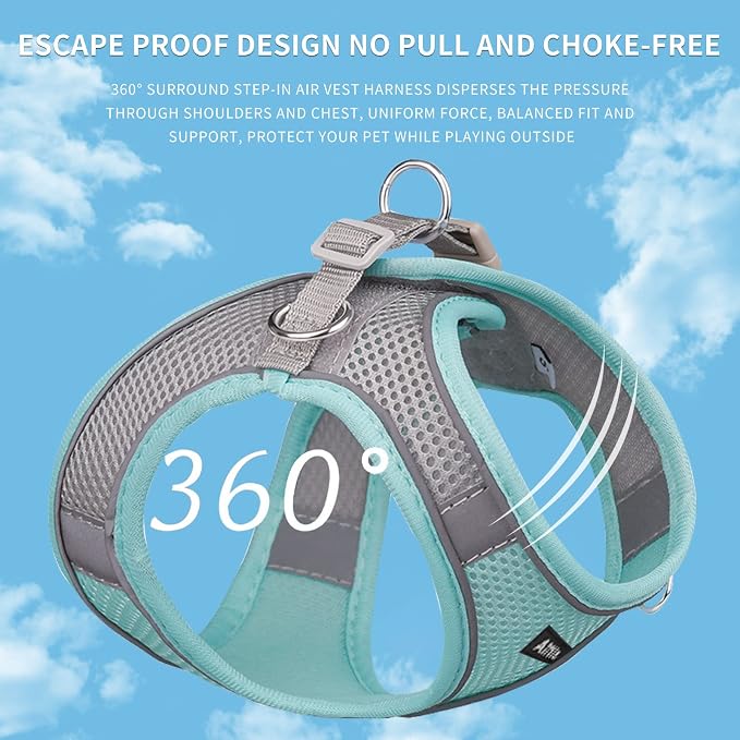 AIITLE Dog Harness and Leash Set, Step-in Puppy Pet Vest, Turquoise XL | Breathable Mesh, Adjustable Fit, Reflective Design, Padded Leash Handle, for Small-Medium Dogs & Cats, Walking, Training - Image 5