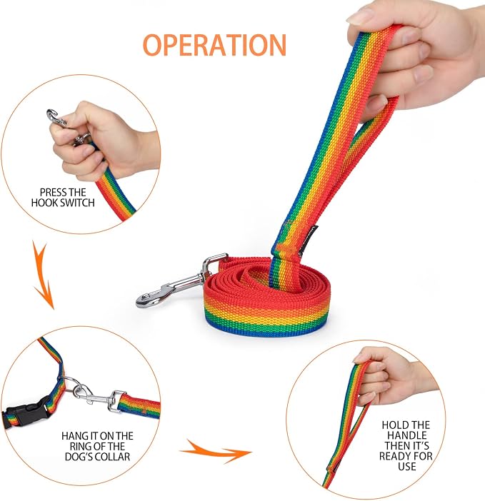 Strong Durable 6 ft Nylon Dog Training Leash, 1 Inch Wide Traction Rope, for Small and Medium Dog (Rainbow, 6 Feet) - Image 3