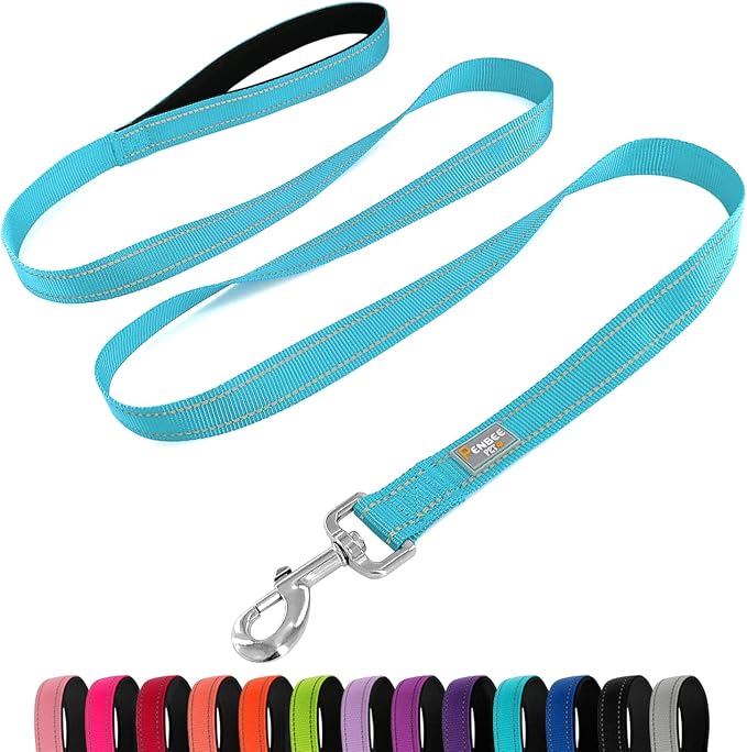 6 FT Basic Dog Leash for Small Dogs,Sky Blue | Padded Handle,Metal D-Ring,Heavy Duty Nylon Webbing, for Walking & Training by Penseepet